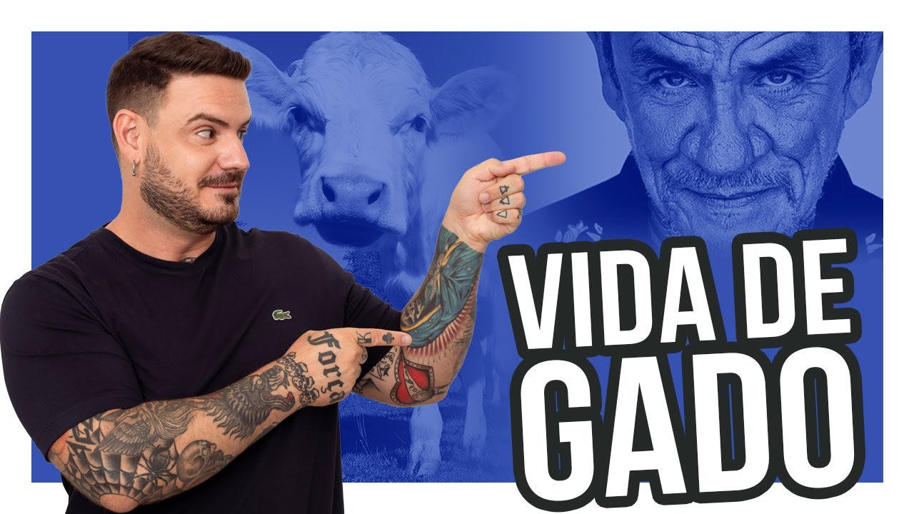 Admirável gado novo - Zé Ramalho - Análise da Letra