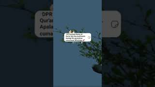 Download lagu story wa muslimah 30 detik | reminders mp3