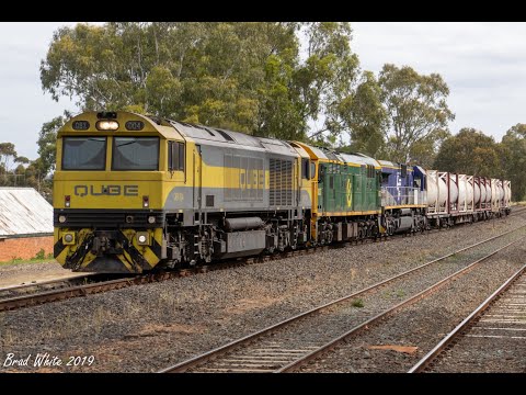 Triple-headed Steel and Cement at Tallarook- 16/11/19