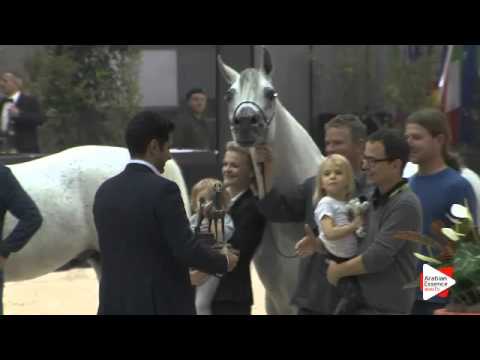 3rd-N.226 MARJAN ALBIDAYER - Verona 2015 - Senior Males Championship (Class 18)