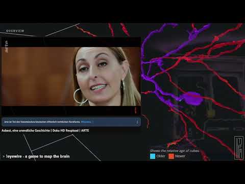 Arte - Asbest, eine unendliche Geschichte 2022