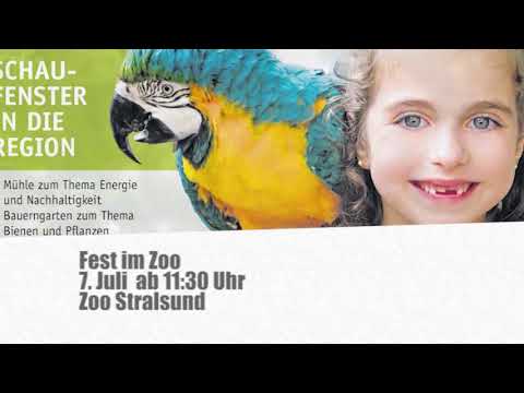 Kulturtipps vom 28.06.2019