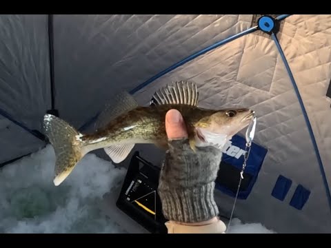 Jigging in a Walleye Nursery - Pasqua Lake