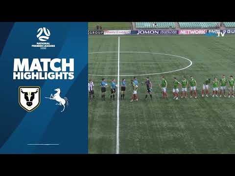 NPL NSW Men's Round 12 Fixture – Bulls FC Academy v Marconi Stallions