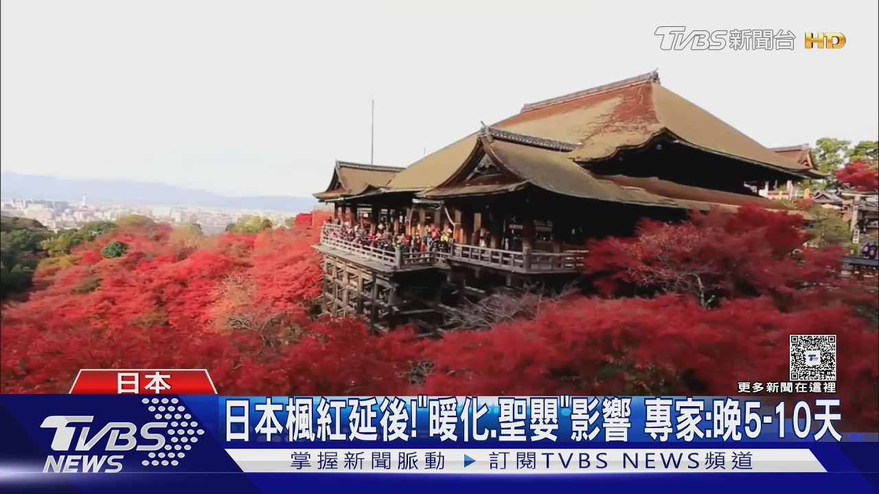 影音／日本楓紅「延後」！「全球暖化.聖嬰現象」影響　專家：晚5-10天去