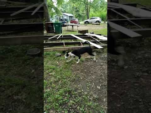 Inspired by Simone Biles