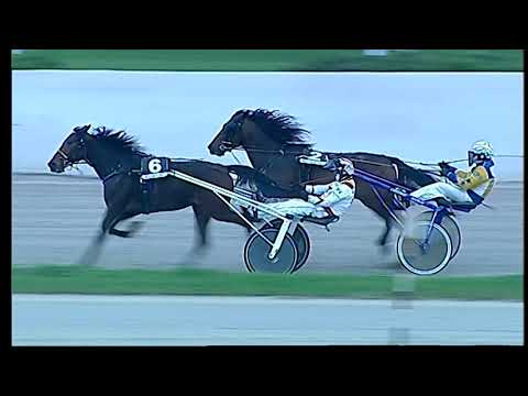 Napoli Trotto 26/11/2021 - 5ª corsa