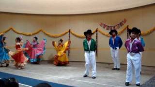 MEXICO LINDO MPLS el sauce y la palma