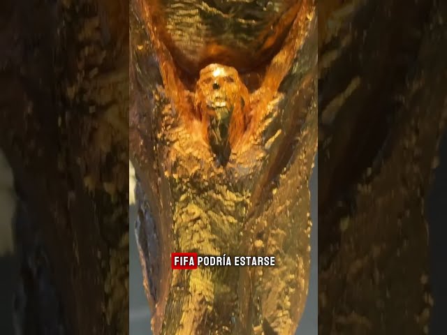 Vídeo relacionado con JurciCat Trofeo Copa del Mundo Grande De 37 Cm De Alto para Torneos Deportivos Competiciones Ceremonias Copas y Fiestas