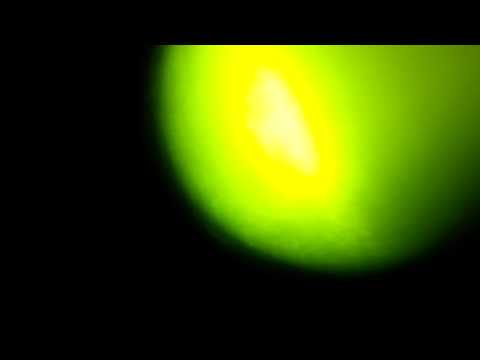 Doman and, young trap freestyle