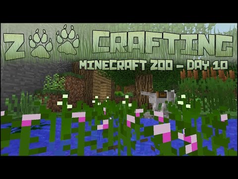 Zoo Keeper Safety Zones! 🐘 Zoo Crafting: Season 2 - Episode #10