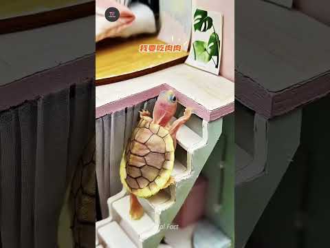 चिंटू के साथ क्या हो गया 😱mini wood toy-woodworking art skill/wood hand #shorts