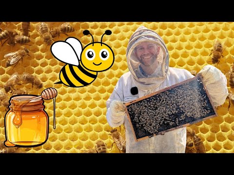 Beekeeper in protective suit holding a honeycomb frame, with a cartoon bee and jar of honey over a honeycomb background.