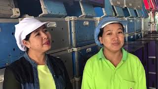 กล้วบไม้