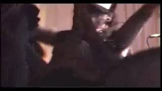 SAINTE CATHERINES ring of fire = 4 points MONTREAL 2006