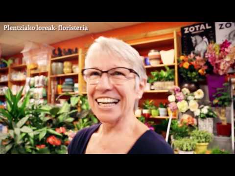 Asoc. Comerciantes, hosteleria y servicios de PLENTZIA