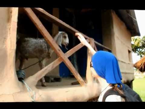 Читван: каноэ и приколы