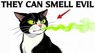 6 Signs Cats Recognize a Bad Person