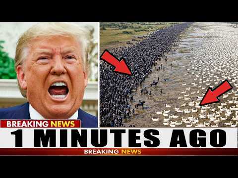2 Mins! End Is Near? Biggest Tragedy JUST Happened in the USA! The Whole World is Shocked and Scared