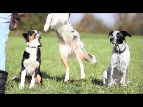 Wonderful Days with Anna & Romy