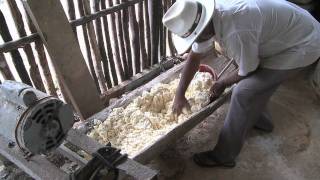 Manioc Flour