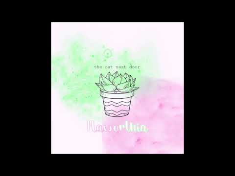 video frame placeholder