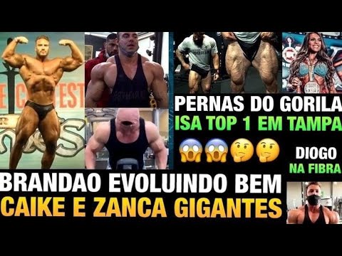 BRANDÃO E CAIKE ENORMES - ZANCA SHAPE ATUAL - GORILA MOSTRA A PERNA -  ISA PECINI CAMPEÃ  E MAIS