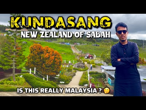 Rain, Mountains, Trees, Desa Cows & Flowers – Kundasang Stole My Heart! Sabah, Malaysia Travel Vlog