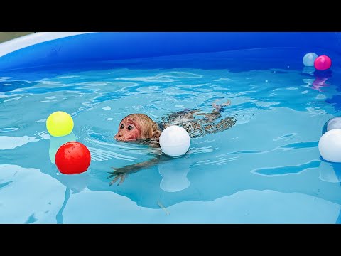 So Funny! Bibi experiences swimming in a large swimming pool!