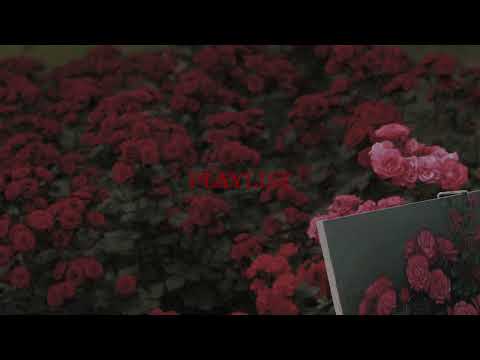 한 떨기의 장미같은, AJR의 노래들 / AJR PLAYLIST