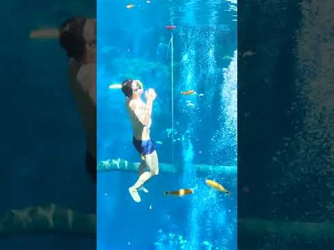 LAGOA MISTERIOSA mergulho em Bonito MS