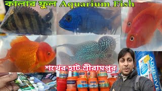 কালার ফুল Aquarium Fish | Serampore Aquarium Fish Haat | Aquarium Fish Haat | Shrirampur Pet Market 