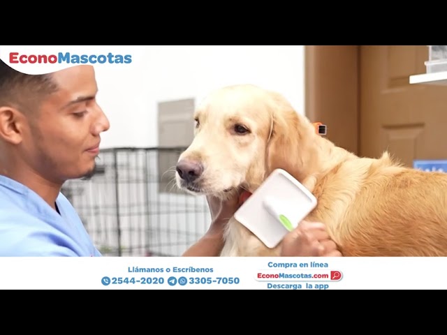 Vídeo relacionado con Ecoiffier - Centro veterinario incluye perro de peluche con muchos accesorios (7600001908)