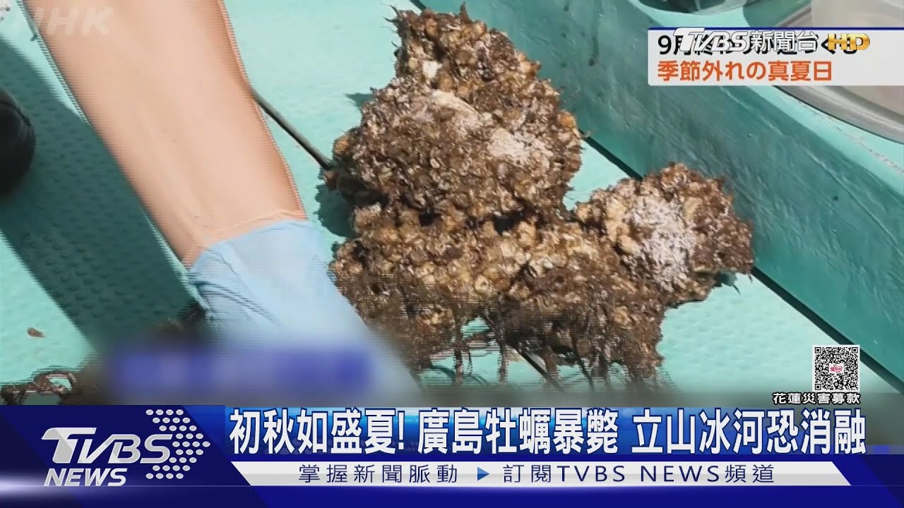 初秋如盛夏！廣島牡蠣熱到暴斃　立山冰河未來恐消融