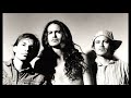 Meat Puppets - 09 Roof With a Hole - Live at the Roxy 1994