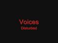 Voices - Disturbed (Lyrics in the Description) 