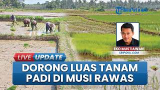 Genjot Target Produksi, Musi Rawas Bidik Realisasi Tanam Padi 31.932 Hektare di Akhir September 2026