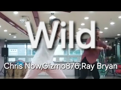 Wild-Chris Now,Gizmo876,Ray Bryan #FitnessDance #Zumba#다이어트댄스  #dance  #백발미녀 #wild