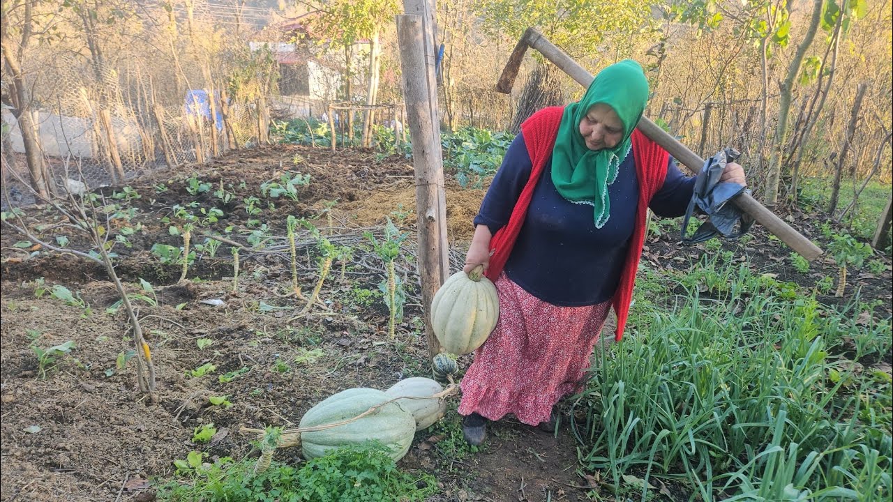 BÜTÜN BAĞ BAHÇE TOPLADIM ‼️