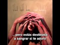 Black Light Burns Coward Subtítulos En Español