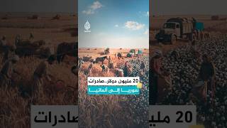 في عام واحد.. صدرت سوريا إلى ألمانيا قمحا وقطنا بقيمة 20 مليون دولار