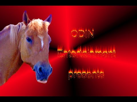 Wanderritt in der Eifel 2018 bei Monika