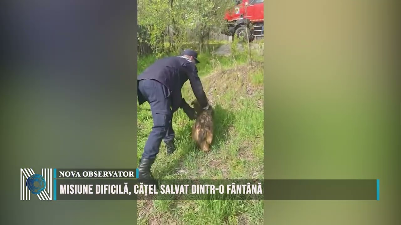 Misiune dificilă, cățel salvat dintr-o fântână