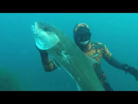 Vidéo unique thumbnail