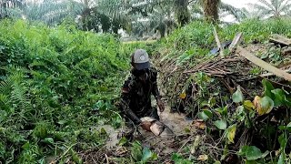 Download lagu DAPAT IKAN PULUHAN KILO DI BAWAH SEMAK-SEMAK RUMPUT YANG SANGAT TEBAL mp3 Download lagu DAPAT IKAN PULUHAN KILO DI BAWAH SEMAK-SEMAK RUMPUT YANG SANGAT TEBAL mp3