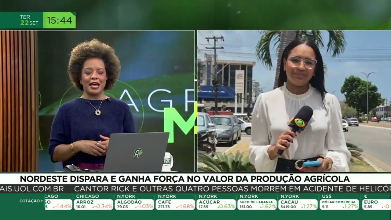 Nordeste dispara e ganha força no valor da produção agrícola