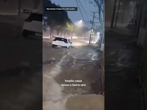 Temporal causa alagamentos e queda de árvores em Porto Alegre