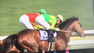 【フリーター競馬実況】2025 高松宮記念 サトノレーヴ（J.モレイラ）