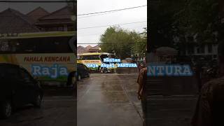 Download lagu Bus Pahala Kencana Mantan Raja Aspal Pantura di era awal tahun 2000 #bismania #busmania mp3