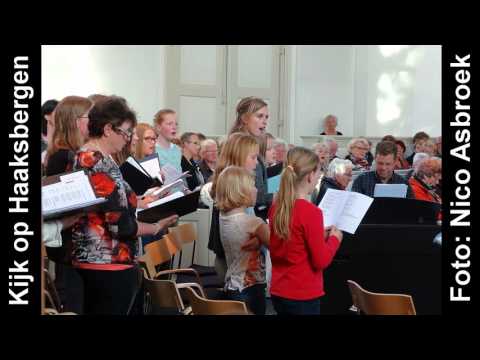 RTVSternet 20160503 Kijk op Haaksbergen 4 mei dodenherdenking Haaksbergen